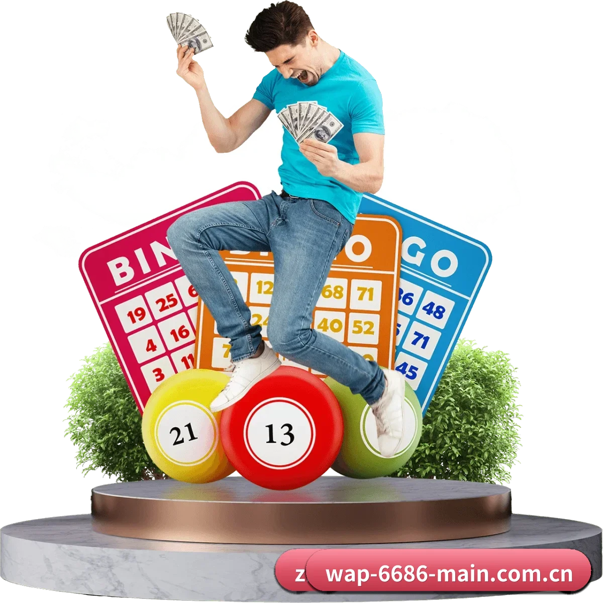 用户规模跃升